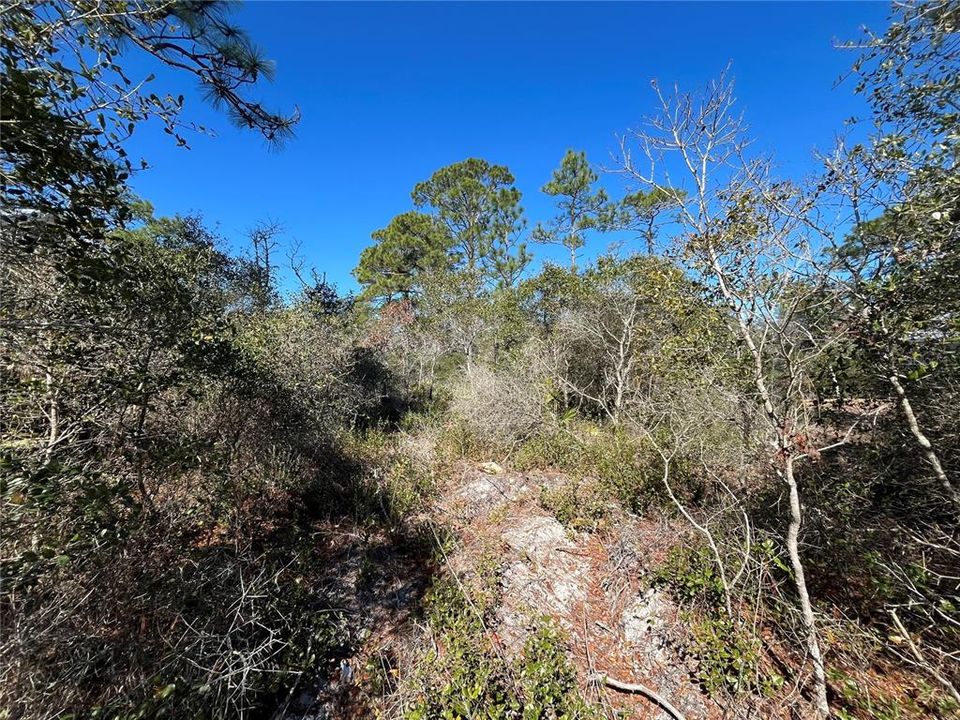 待售: $39,900 (0.23 acres)
