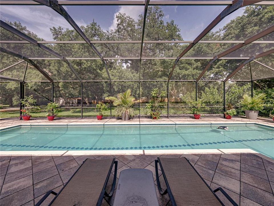 For Sale: $999,999 (5 beds, 4 baths, 4242 Square Feet)