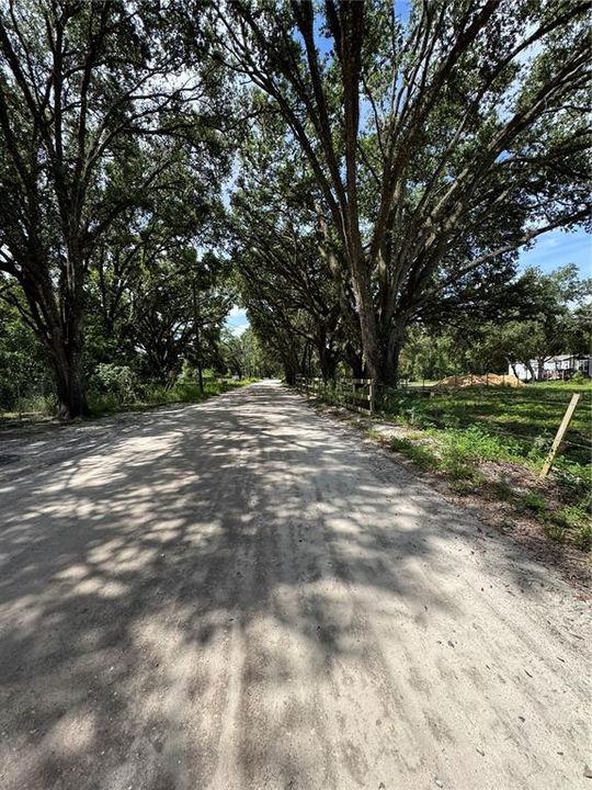 На продажу: $195,000 (2.98 acres)