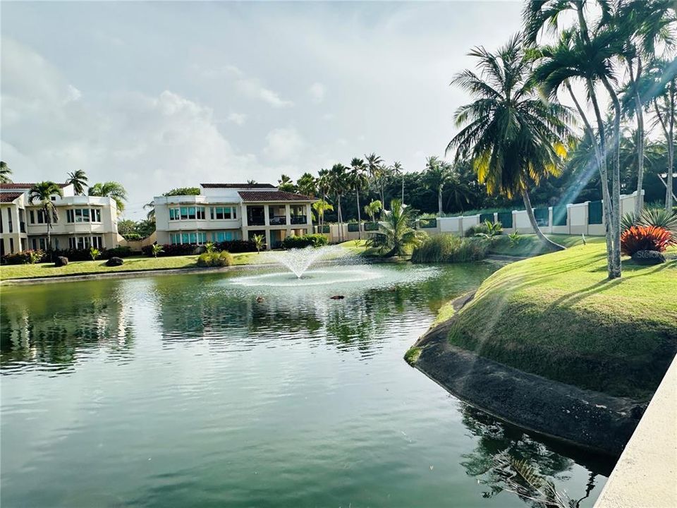 For Rent: $4,800 (3 beds, 3 baths, 1100 Square Feet)