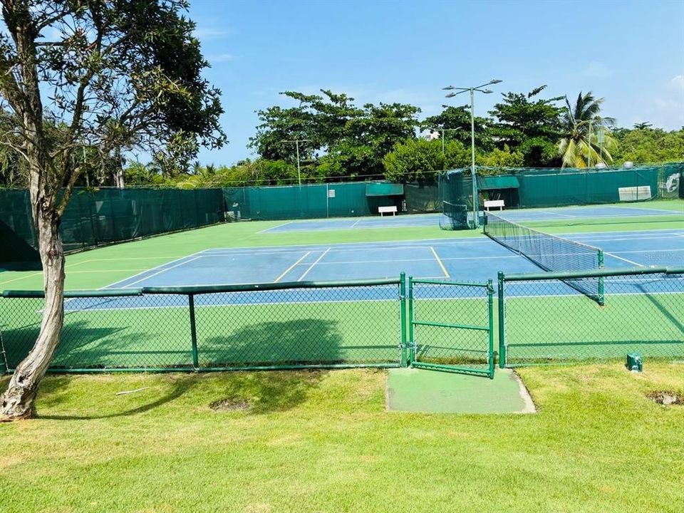 For Rent: $4,800 (3 beds, 3 baths, 1100 Square Feet)