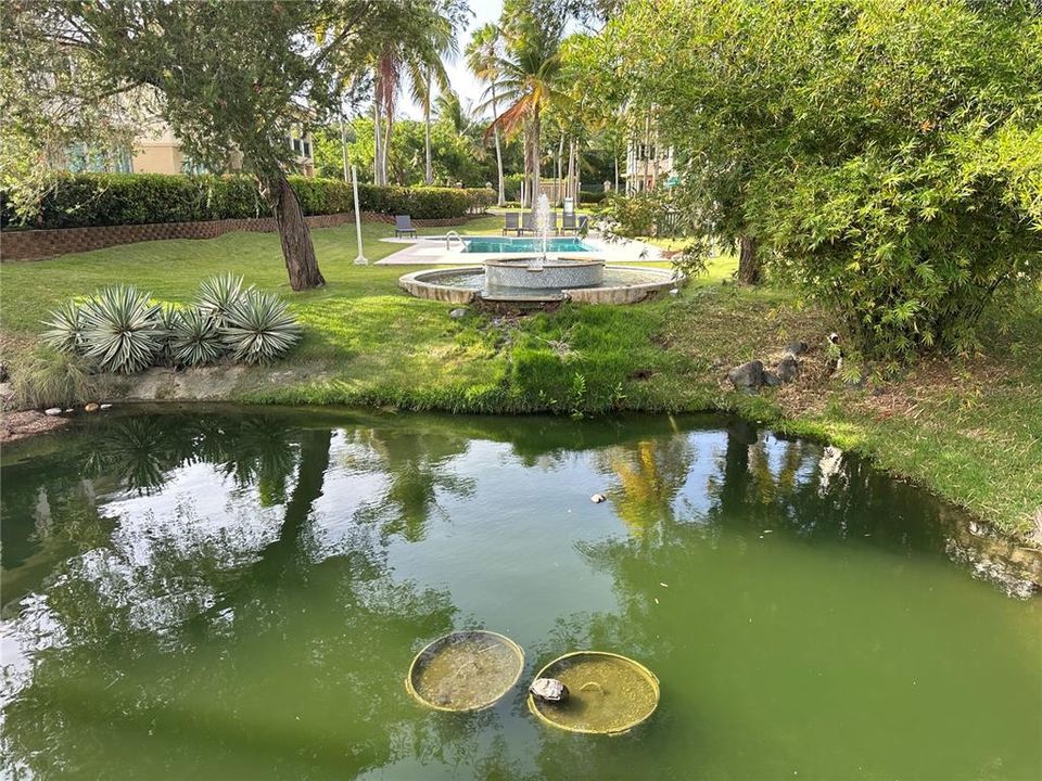 For Rent: $4,800 (3 beds, 3 baths, 1100 Square Feet)