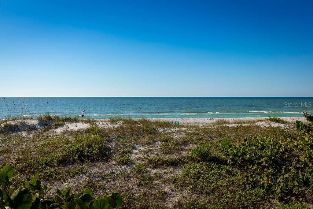 待售: $7,695,000 (0.58 acres)