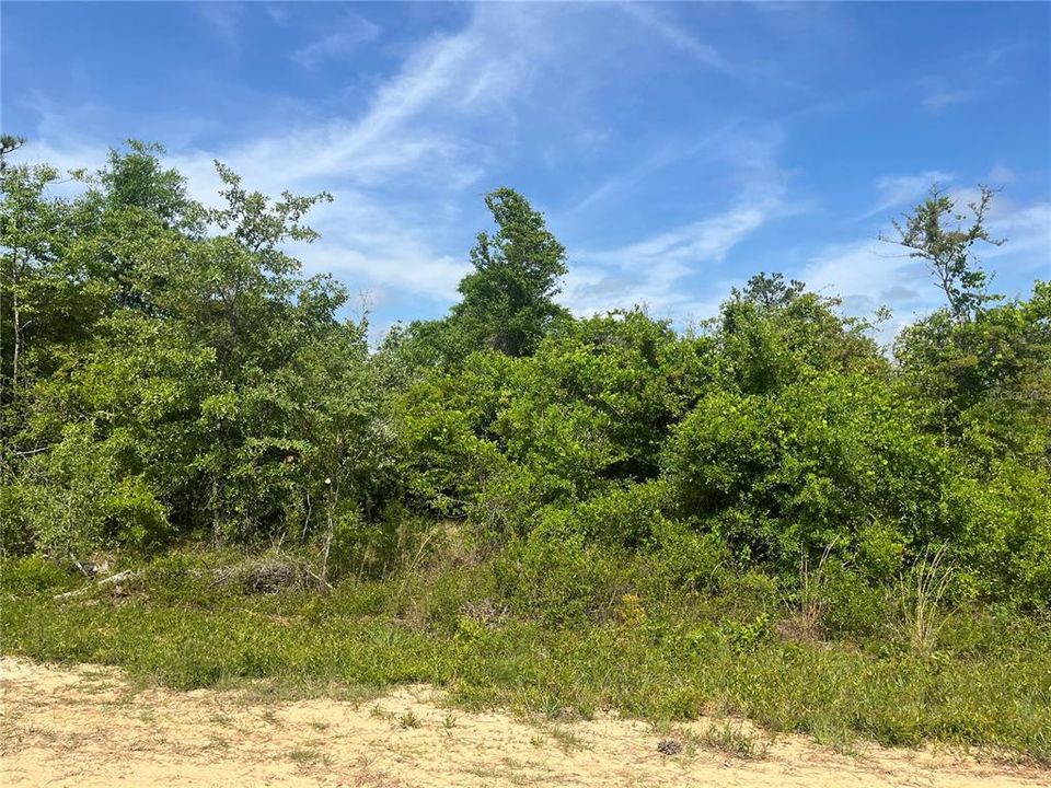 待售: $13,200 (0.98 acres)