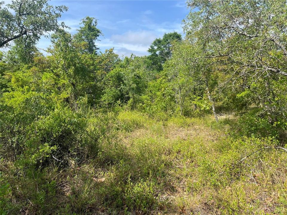 待售: $13,200 (0.98 acres)