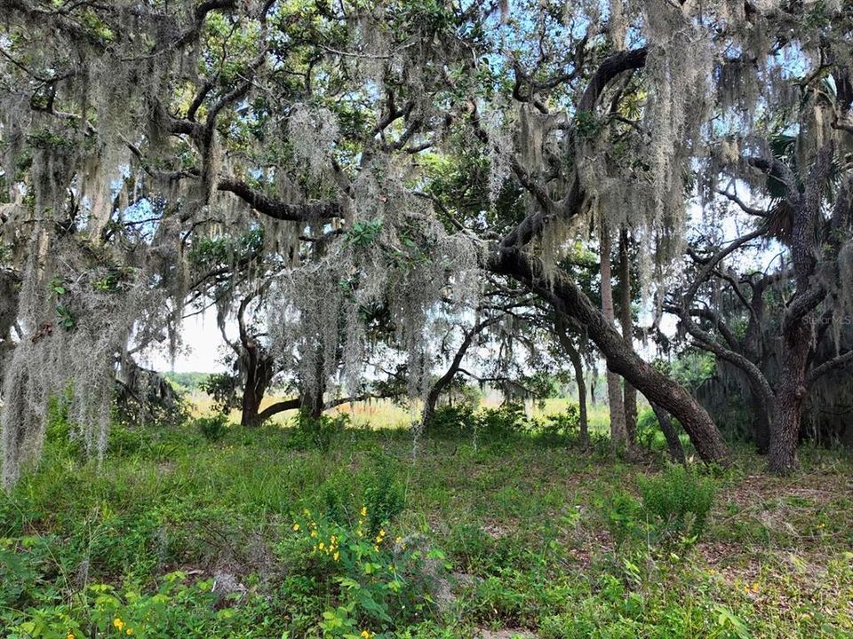 待售: $299,900 (7.00 acres)