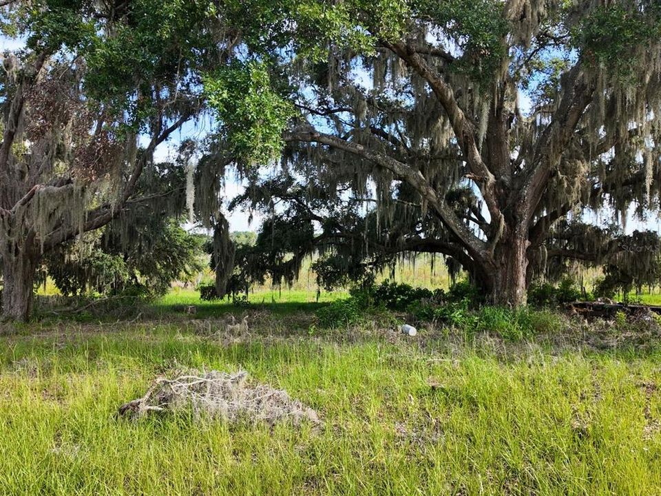 待售: $299,900 (7.00 acres)