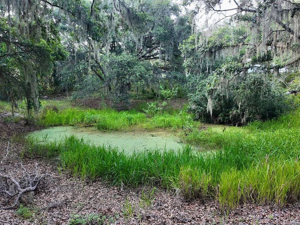 待售: $299,900 (7.00 acres)