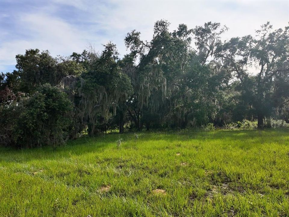 待售: $299,900 (7.00 acres)