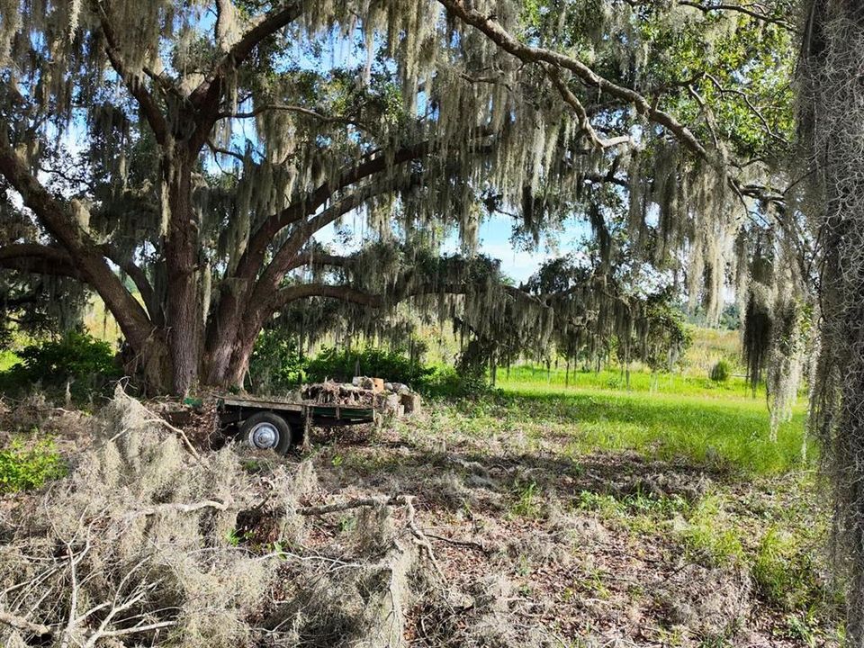 待售: $299,900 (7.00 acres)