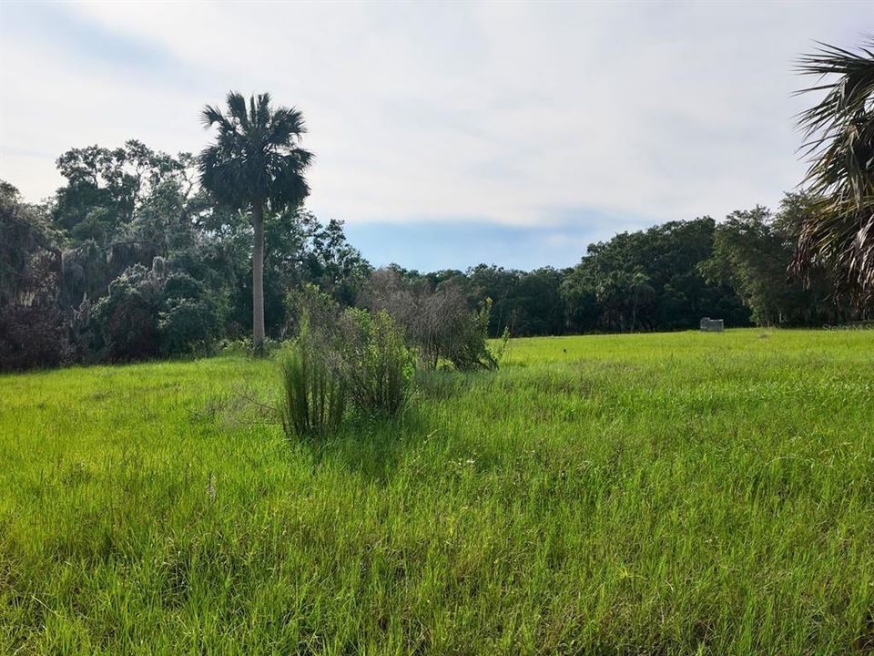 待售: $299,900 (7.00 acres)