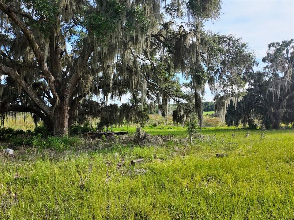 待售: $299,900 (7.00 acres)