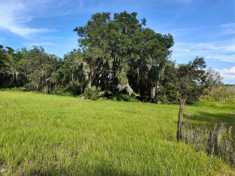 待售: $299,900 (7.00 acres)