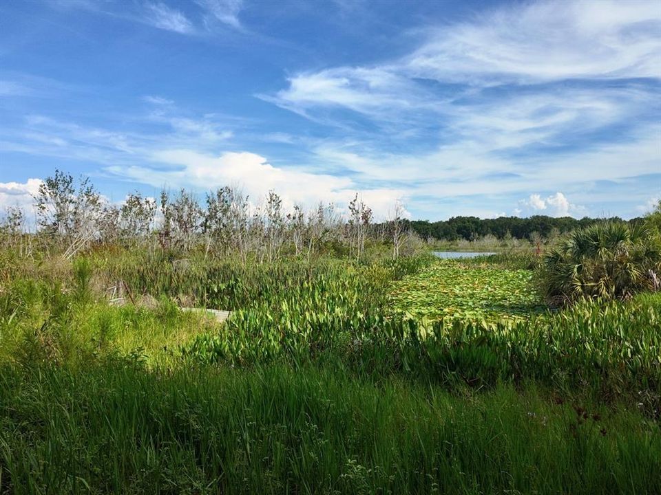 待售: $299,900 (7.00 acres)