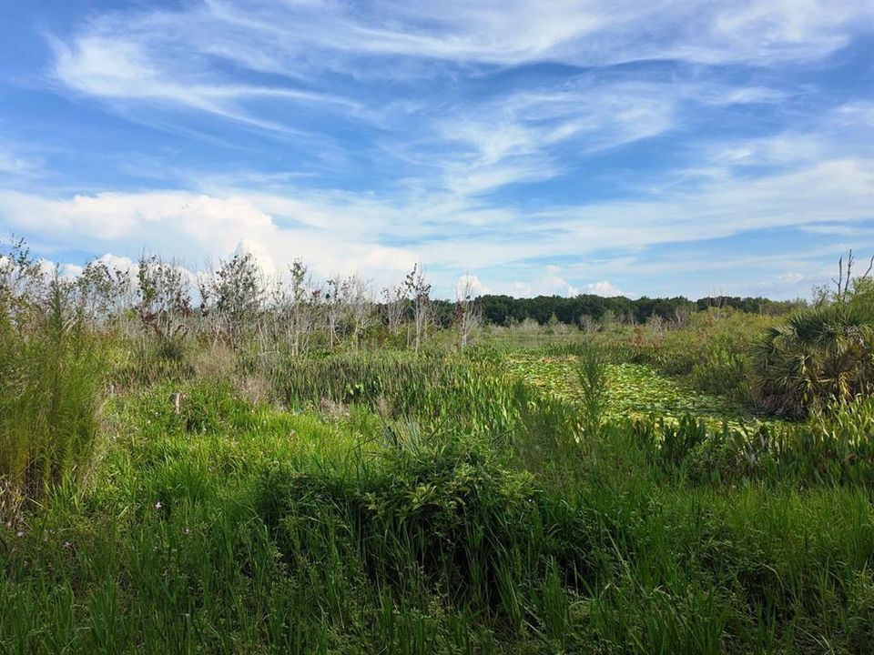 待售: $299,900 (7.00 acres)