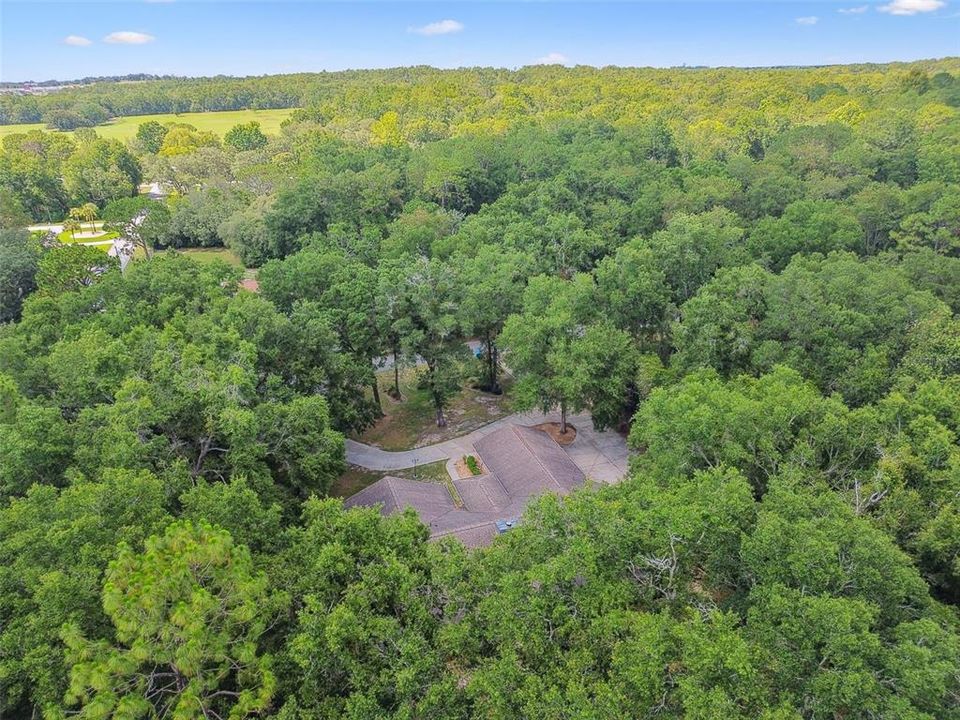 合同活跃: $435,000 (4 贝兹, 2 浴室, 3006 平方英尺)