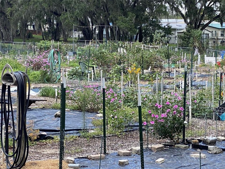 На продажу: $172,931 (2 спален, 2 ванн, 1372 Квадратных фут)