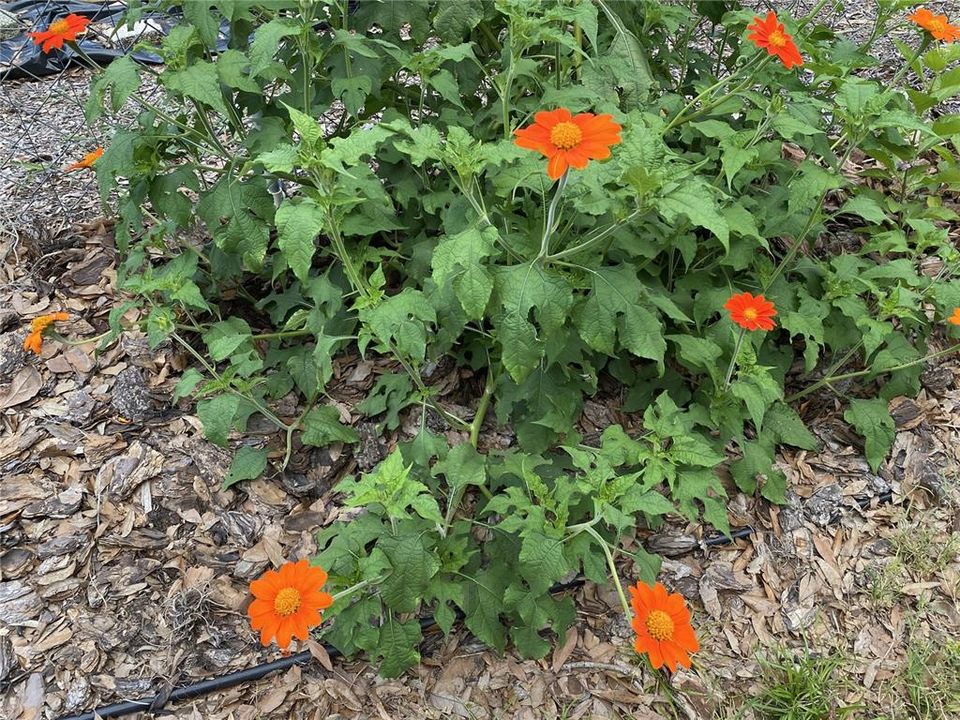 На продажу: $172,931 (2 спален, 2 ванн, 1372 Квадратных фут)