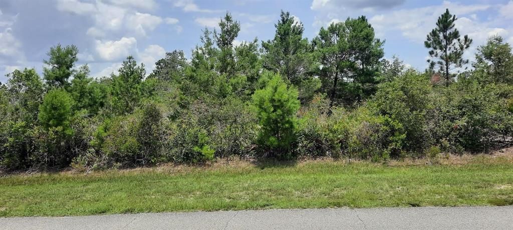 最近售出: $25,000 (0.50 acres)