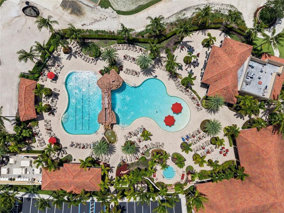 Straight down view of the Lagoon Style Pool