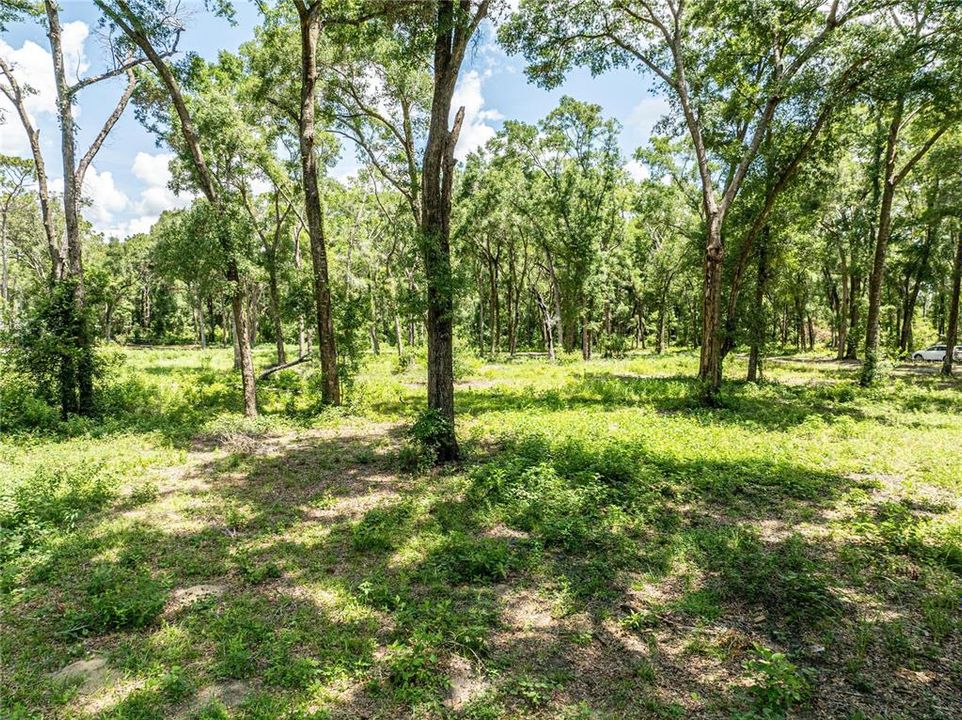 Active With Contract: $475,000 (3 beds, 2 baths, 1716 Square Feet)