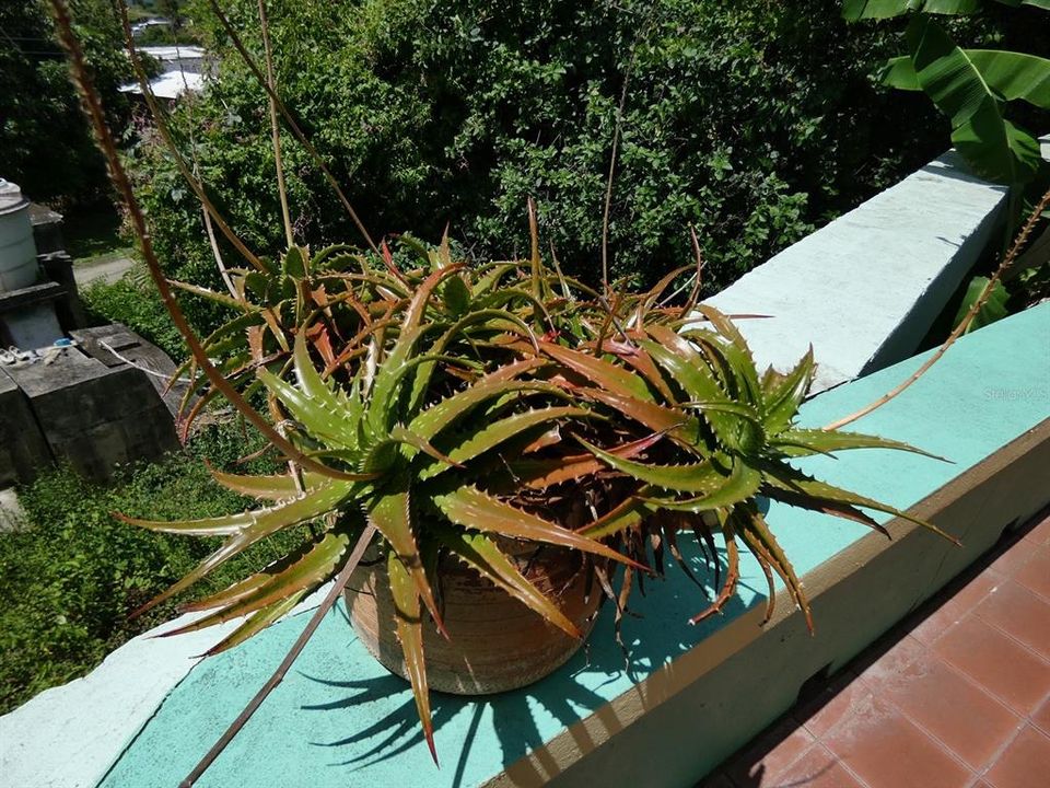 На продажу: $187,000 (1 спален, 1 ванн, 625 Квадратных фут)