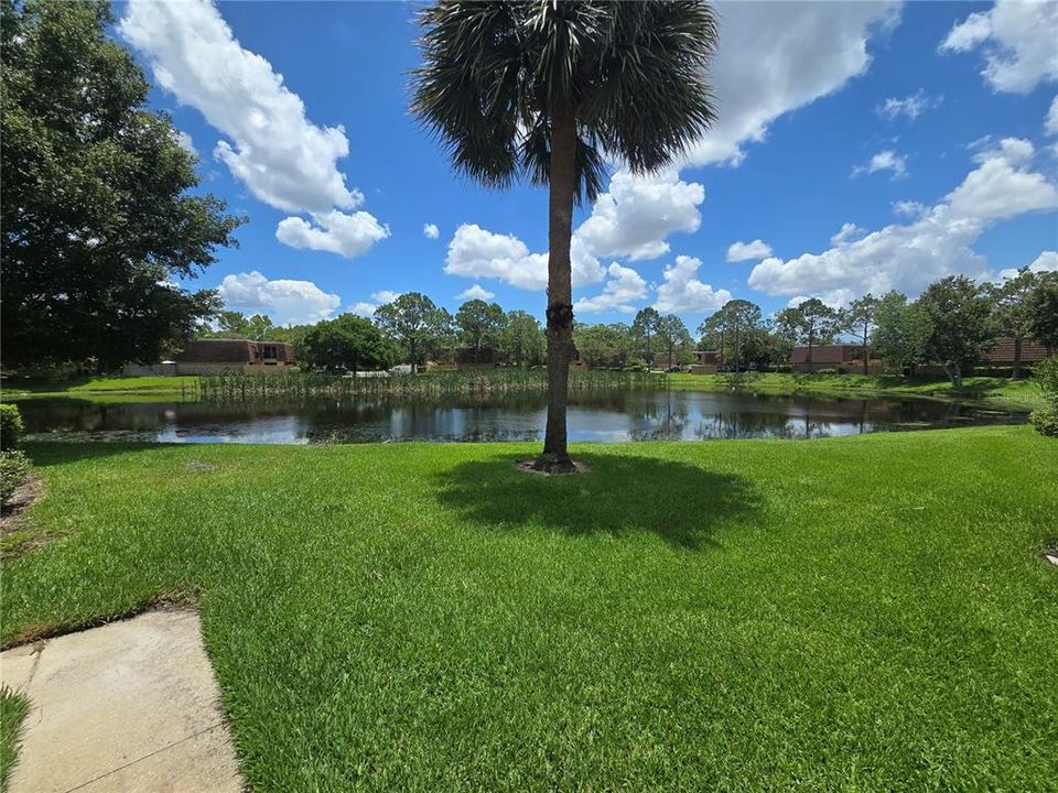 Activo con contrato: $215,000 (2 camas, 2 baños, 1285 Pies cuadrados)