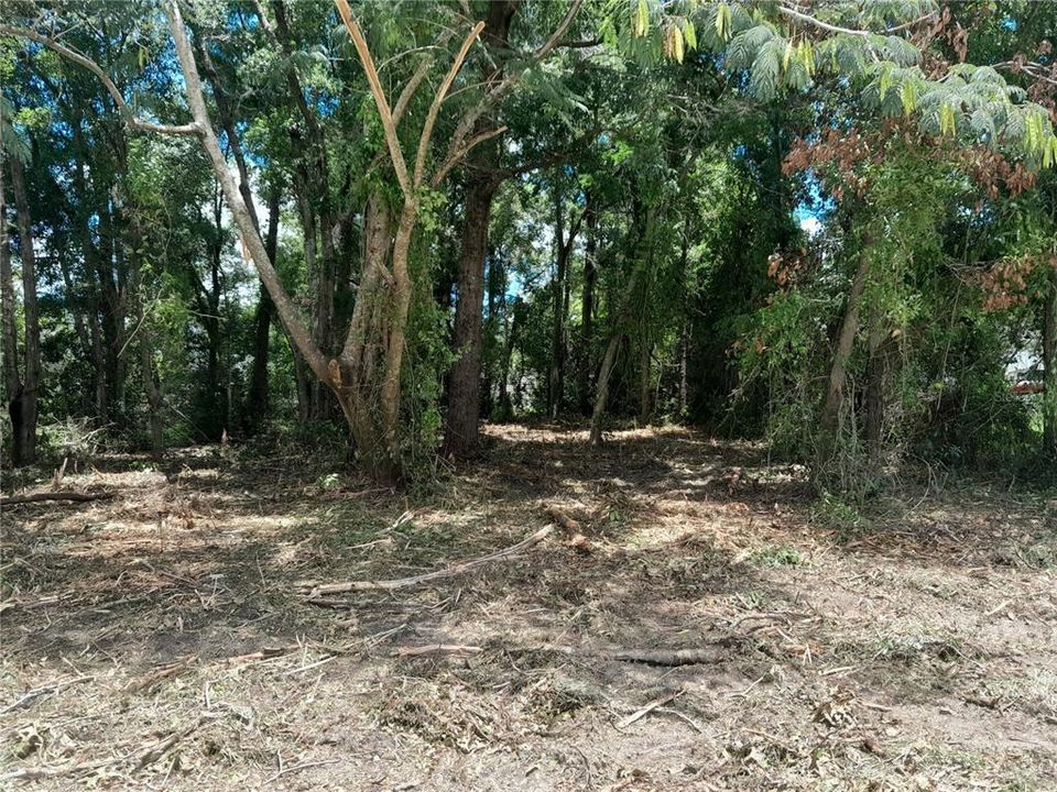 待售: $20,000 (0.23 acres)