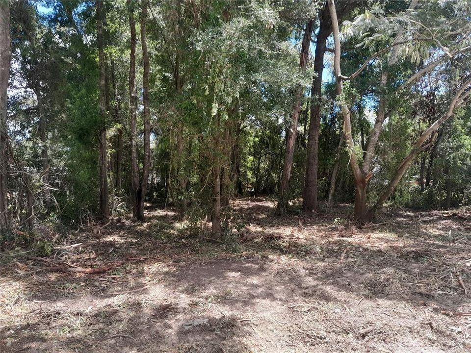 待售: $20,000 (0.23 acres)