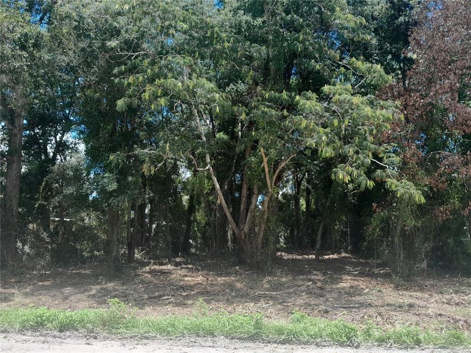 待售: $20,000 (0.23 acres)