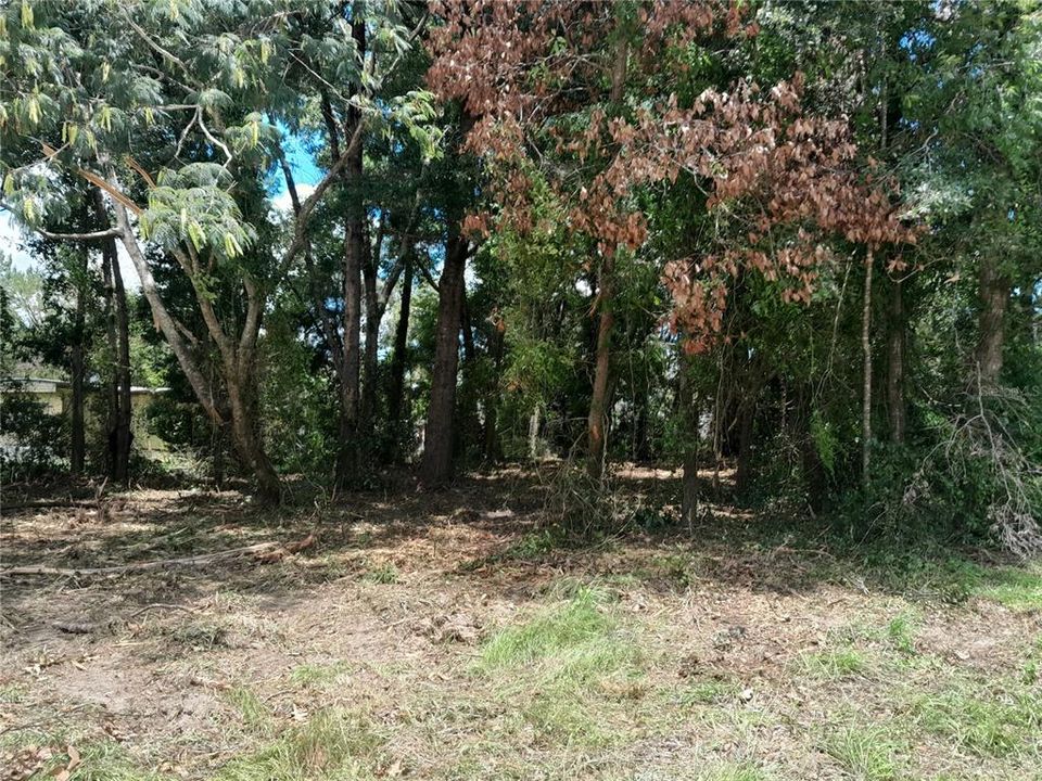 待售: $20,000 (0.23 acres)