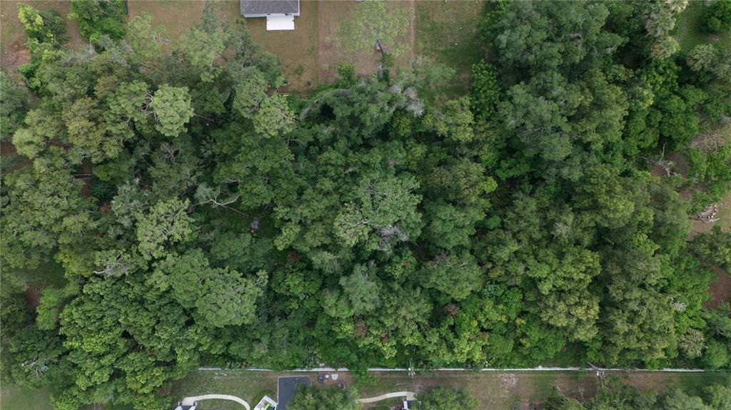 En Venta: $149,000 (1.47 acres)