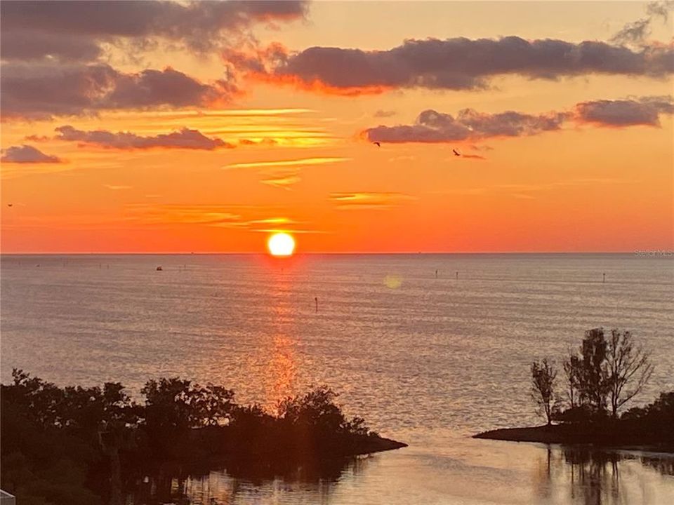 For Sale: $214,900 (1 beds, 1 baths, 733 Square Feet)