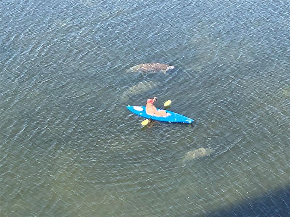 For Sale: $214,900 (1 beds, 1 baths, 733 Square Feet)