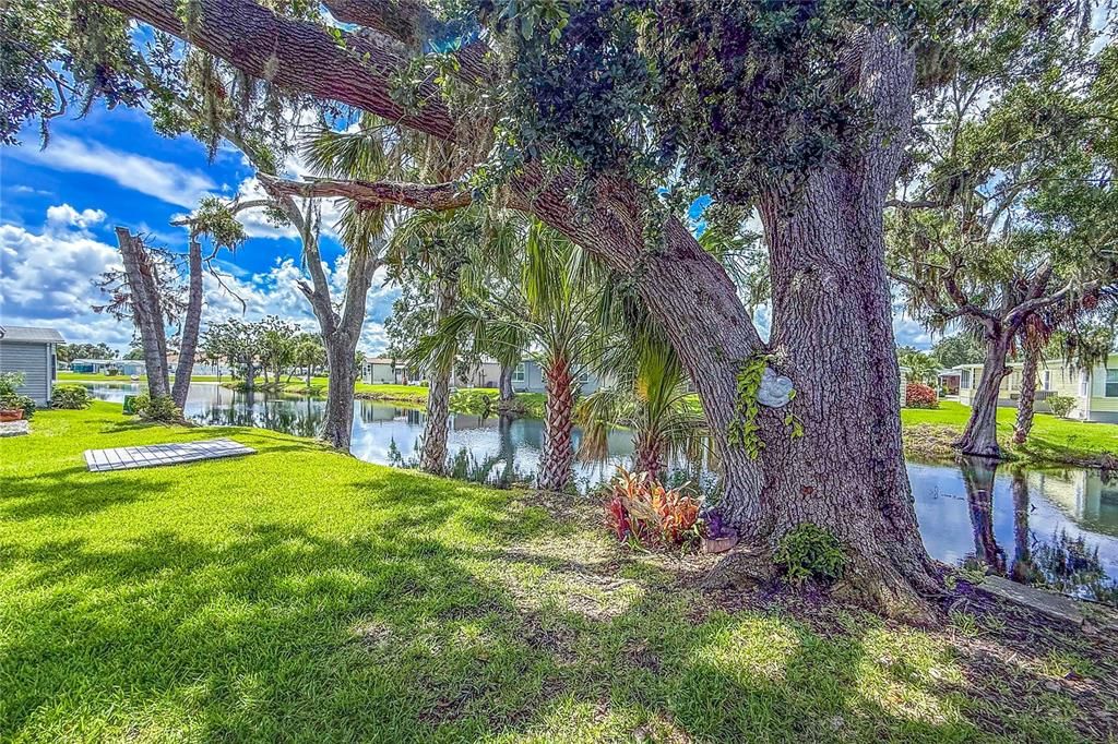 Activo con contrato: $239,000 (2 camas, 2 baños, 1876 Pies cuadrados)