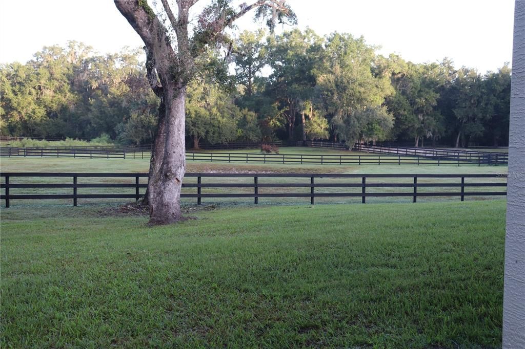 For Sale: $670,000 (3 beds, 2 baths, 1685 Square Feet)