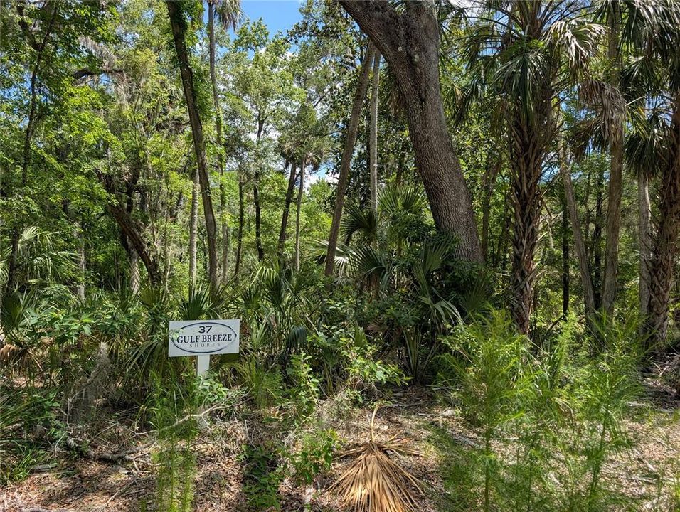 На продажу: $145,000 (1.35 acres)