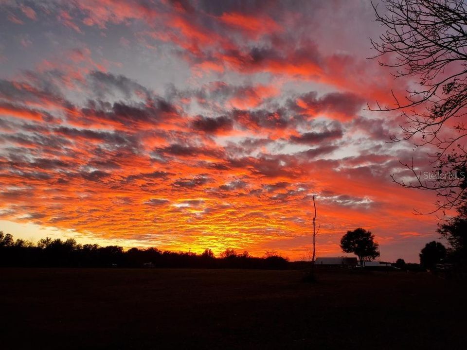 En Venta: $1,295,000 (3 camas, 4 baños, 3313 Pies cuadrados)