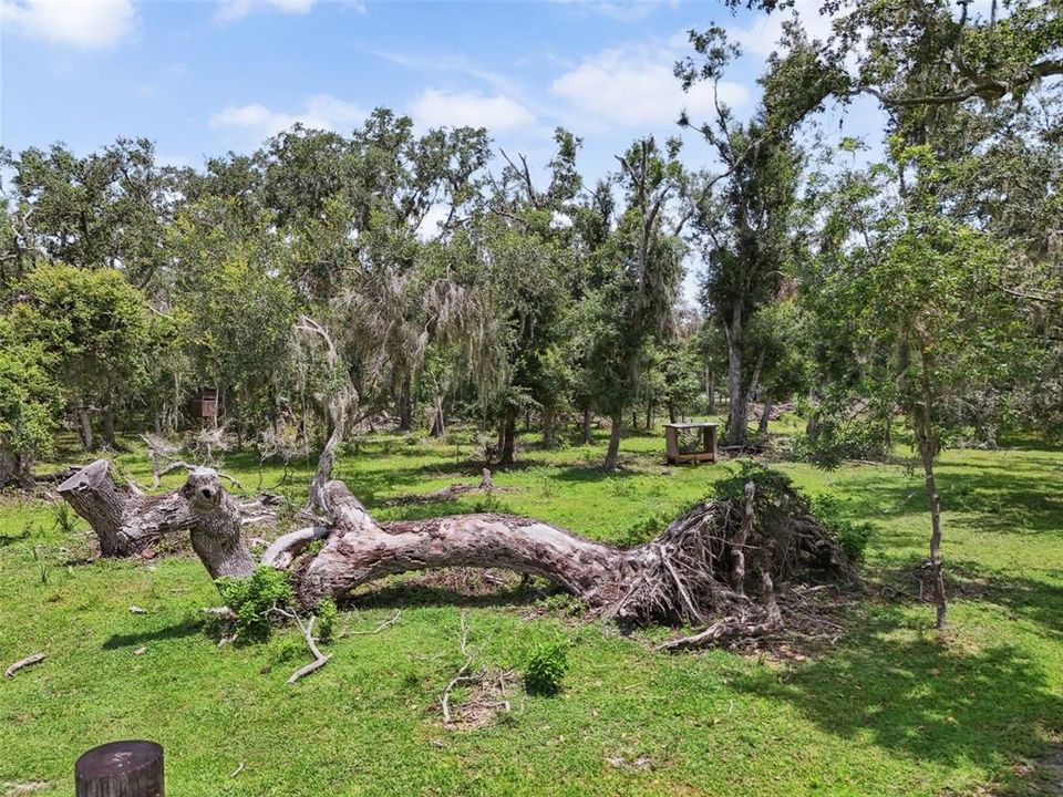 For Sale: $1,050,000 (3 beds, 2 baths, 1800 Square Feet)