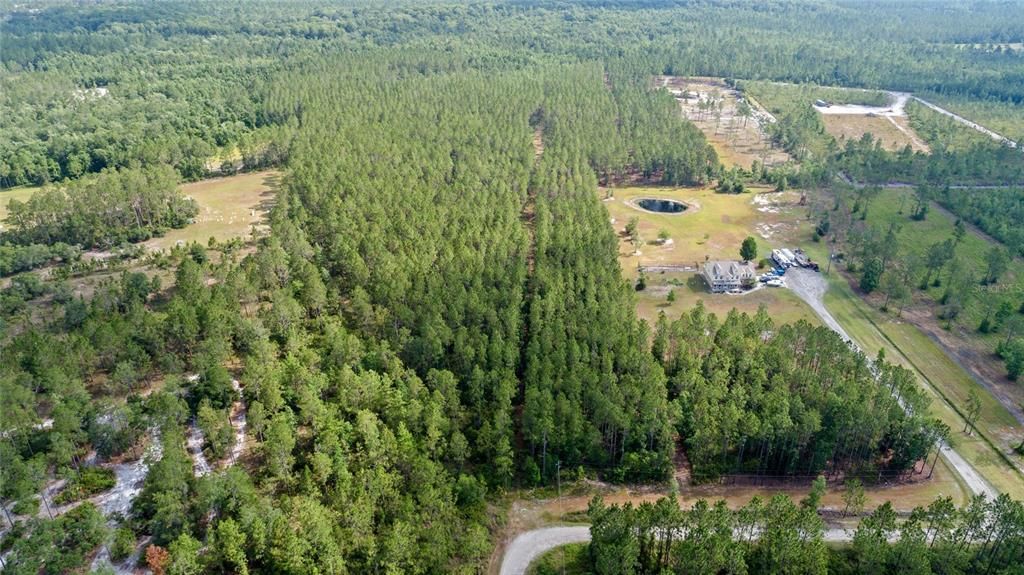 For Sale: $237,500 (9.80 acres)