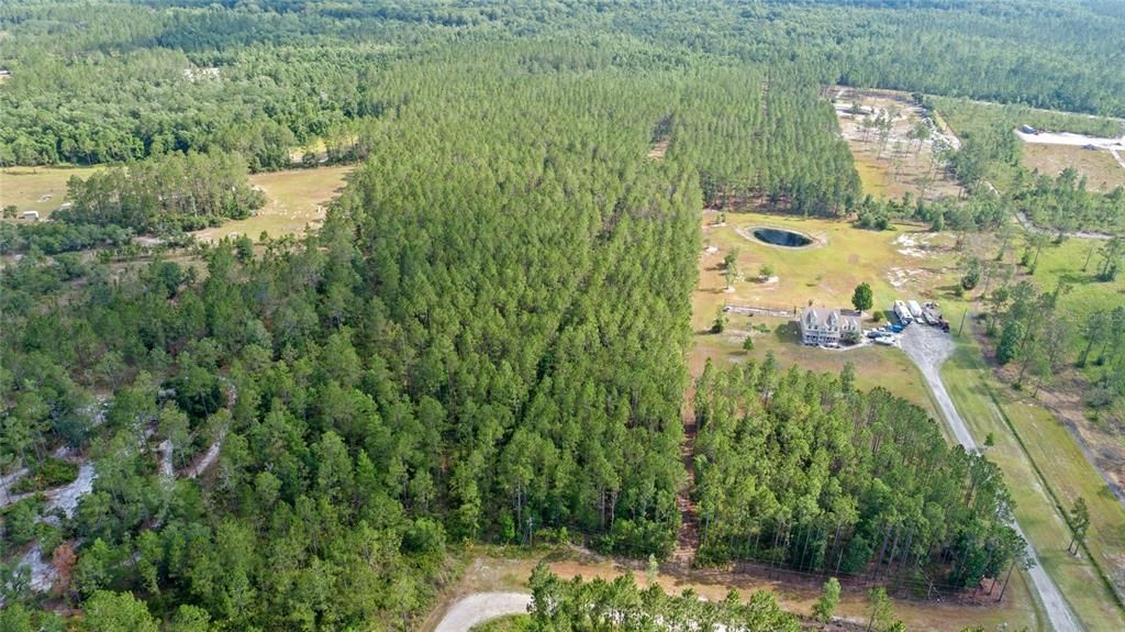 For Sale: $237,500 (9.80 acres)