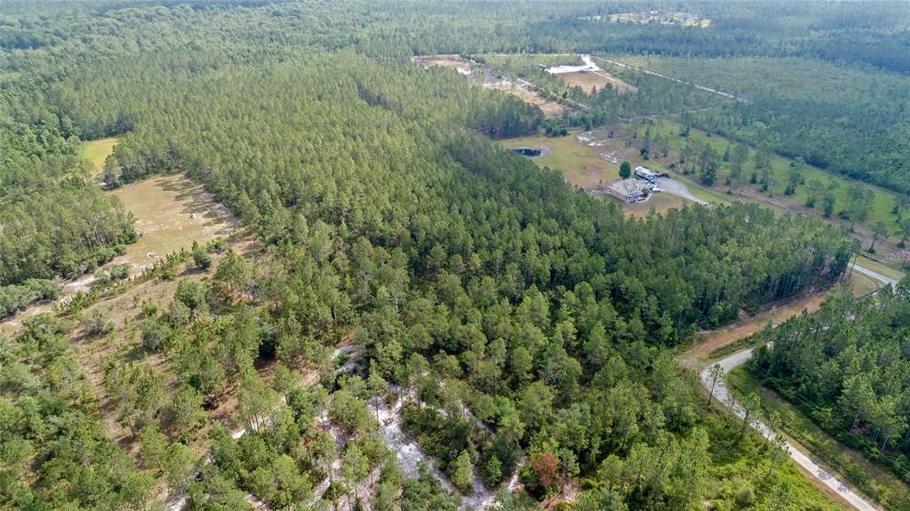 For Sale: $237,500 (9.80 acres)