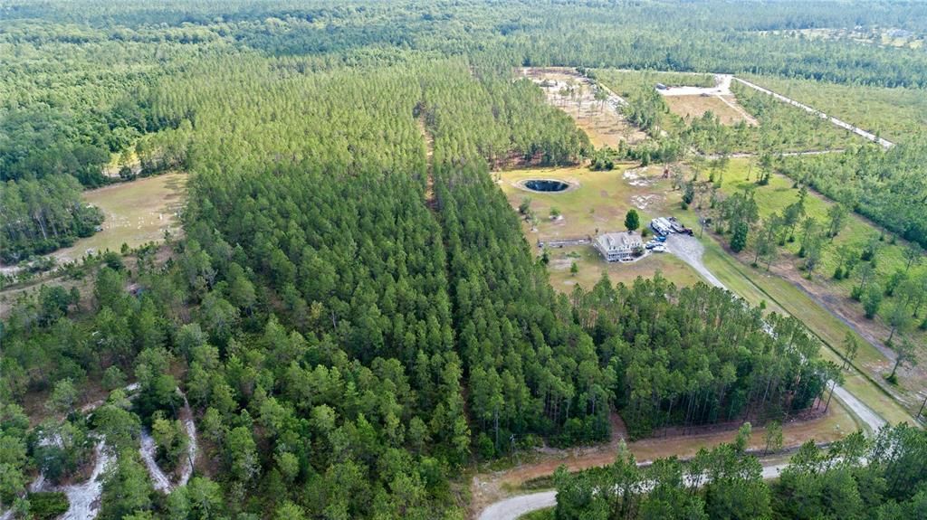 For Sale: $237,500 (9.80 acres)