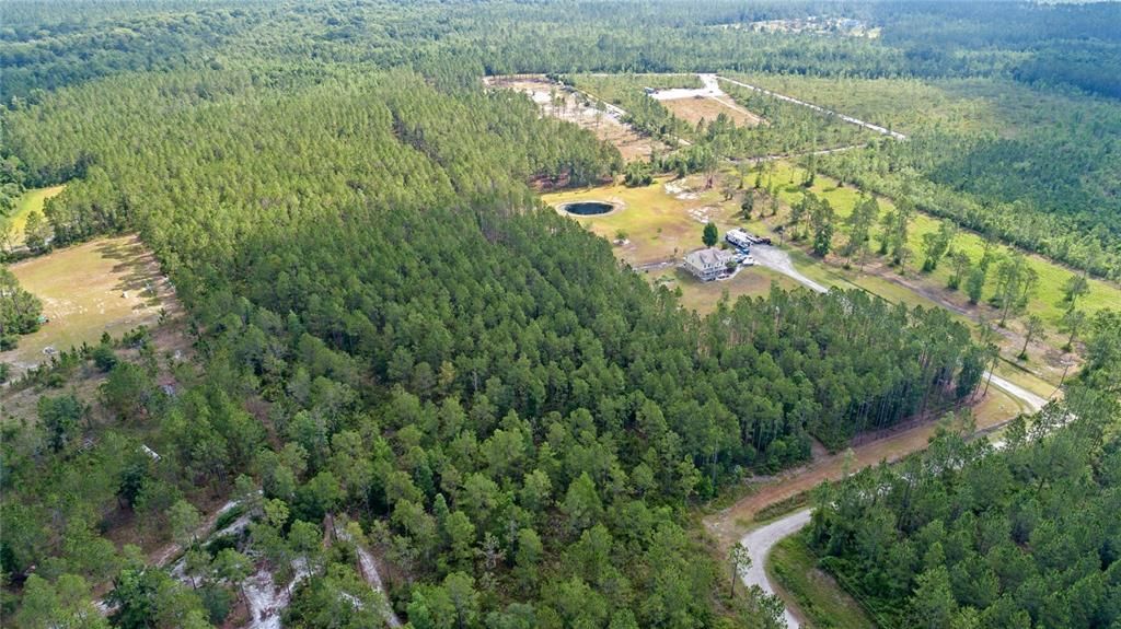 For Sale: $237,500 (9.80 acres)