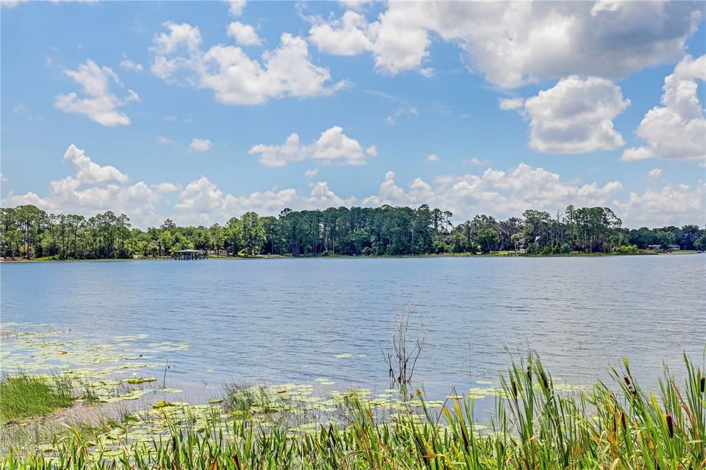 待售: $298,000 (2 贝兹, 1 浴室, 1039 平方英尺)