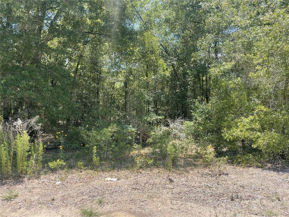 Недавно продано: $46,000 (0.71 acres)