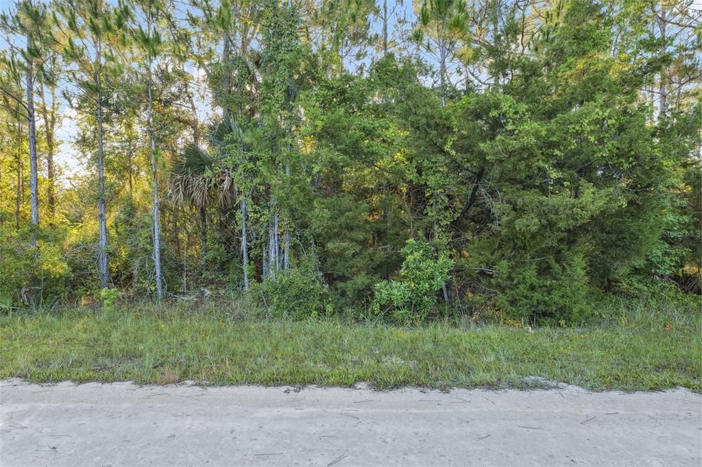 На продажу: $55,000 (1.25 acres)
