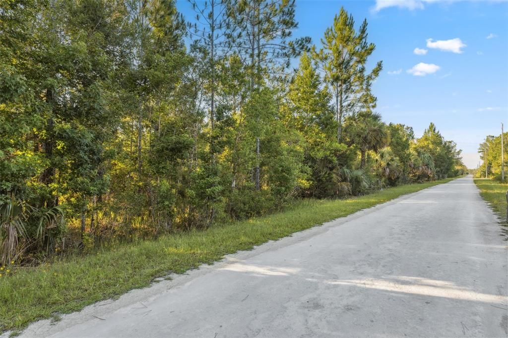 На продажу: $55,000 (1.25 acres)