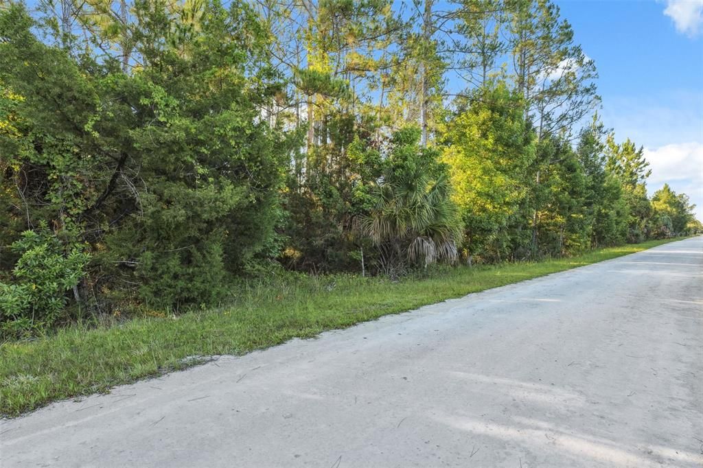 На продажу: $55,000 (1.25 acres)