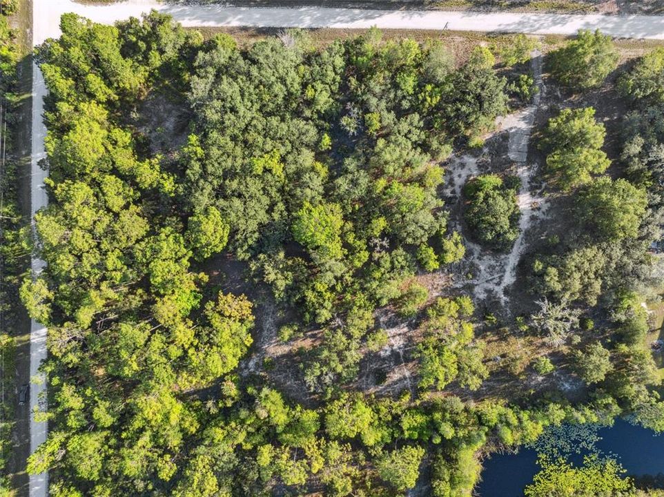 На продажу: $55,000 (1.25 acres)